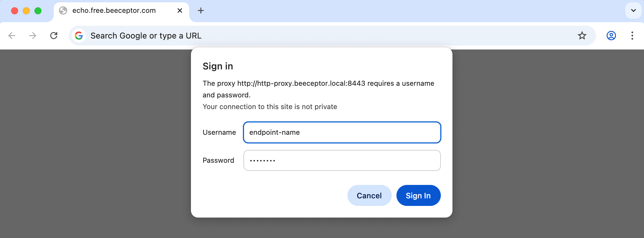 Chrome Proxy Authentication Prompt