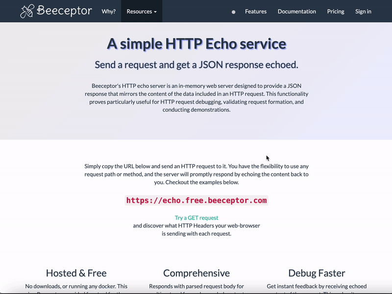 Beeceptor&#39;s HTTP Echo Server Demo